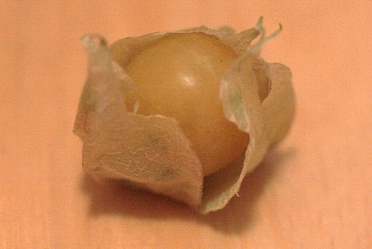 d0133693_2020418.jpg