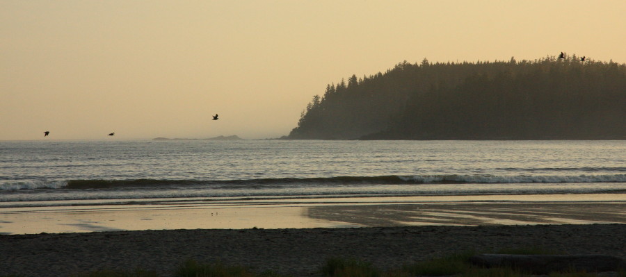 e0122193_13282755.jpg