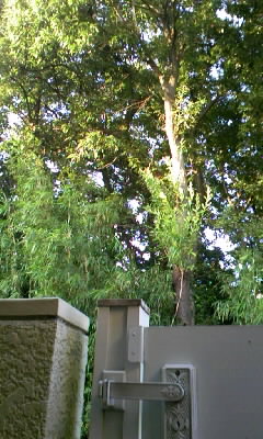 b0029694_13475942.jpg