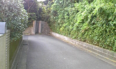b0029694_13481371.jpg