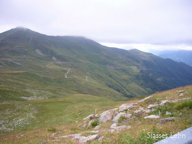 e0088895_20193046.jpg