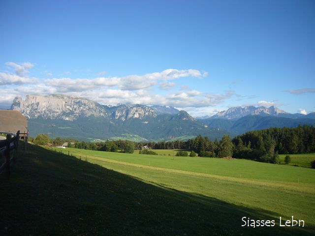 e0088895_20291774.jpg