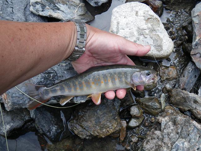 e0144195_10293360.jpg