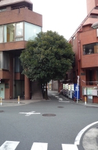 c0168096_7163931.jpg
