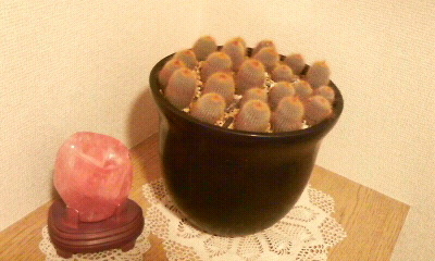 f0035996_237011.jpg