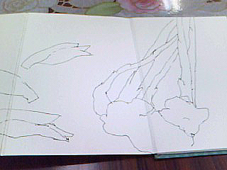 f0008597_2081333.jpg