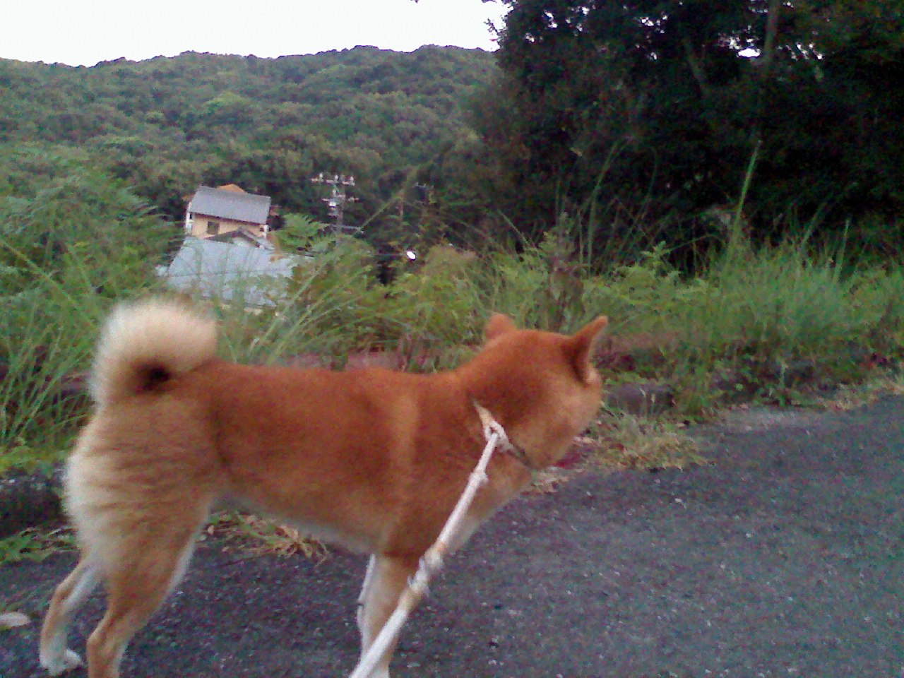 a0133999_23262267.jpg
