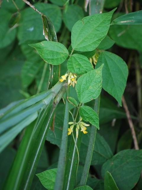 e0025300_2303615.jpg