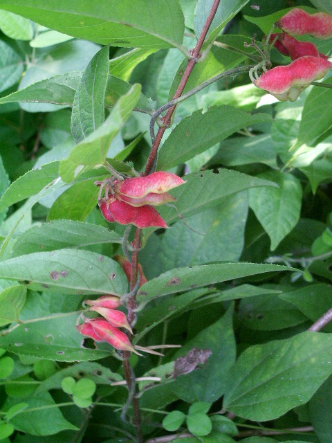 e0025300_23115371.jpg