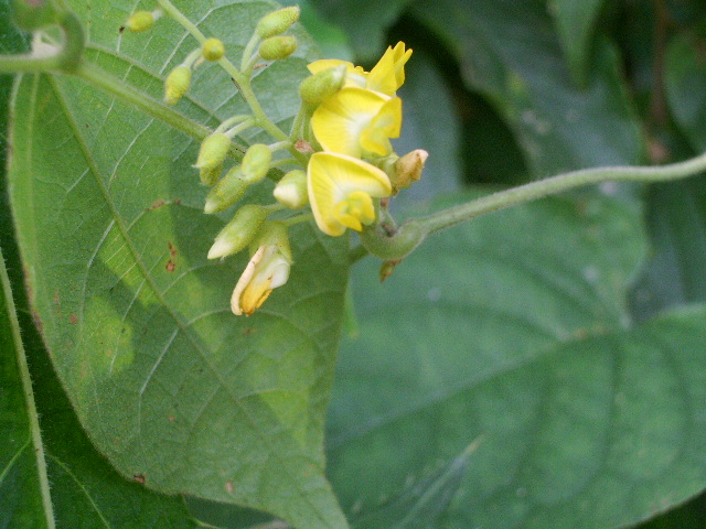 e0025300_2371989.jpg