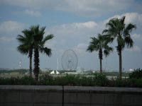 e0087901_13304.jpg