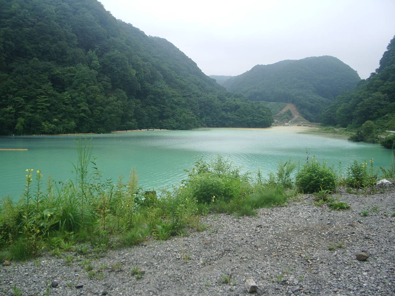 d0046502_23505318.jpg