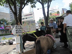 d0115106_14283422.jpg