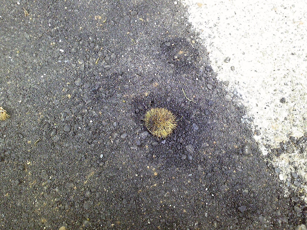 e0015108_22241580.jpg