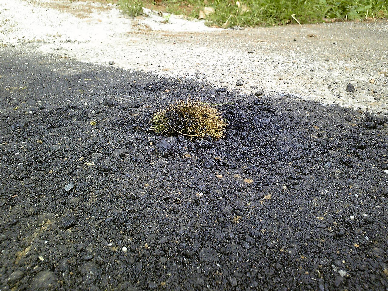 e0015108_22253036.jpg