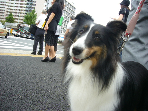 e0130008_22203372.jpg