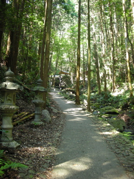 c0145209_1182875.jpg