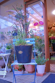 e0128909_20374472.jpg