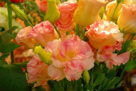 e0128909_20415291.jpg