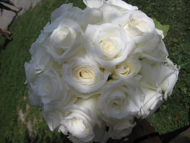 e0089710_23273377.jpg
