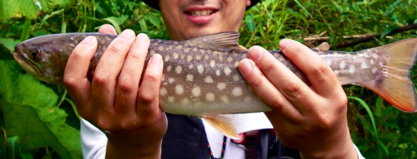 c0153411_22441443.jpg
