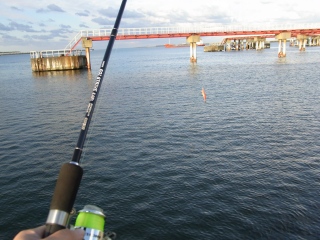 e0085113_12535324.jpg