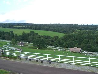 a0089120_21174134.jpg