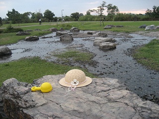 f0139520_22343158.jpg