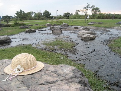 f0139520_223736.jpg