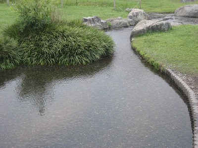 f0139520_22392541.jpg