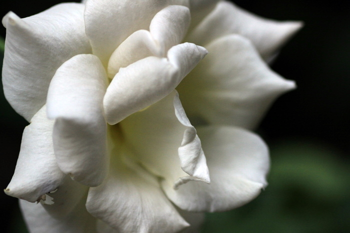 b0165522_2128178.jpg