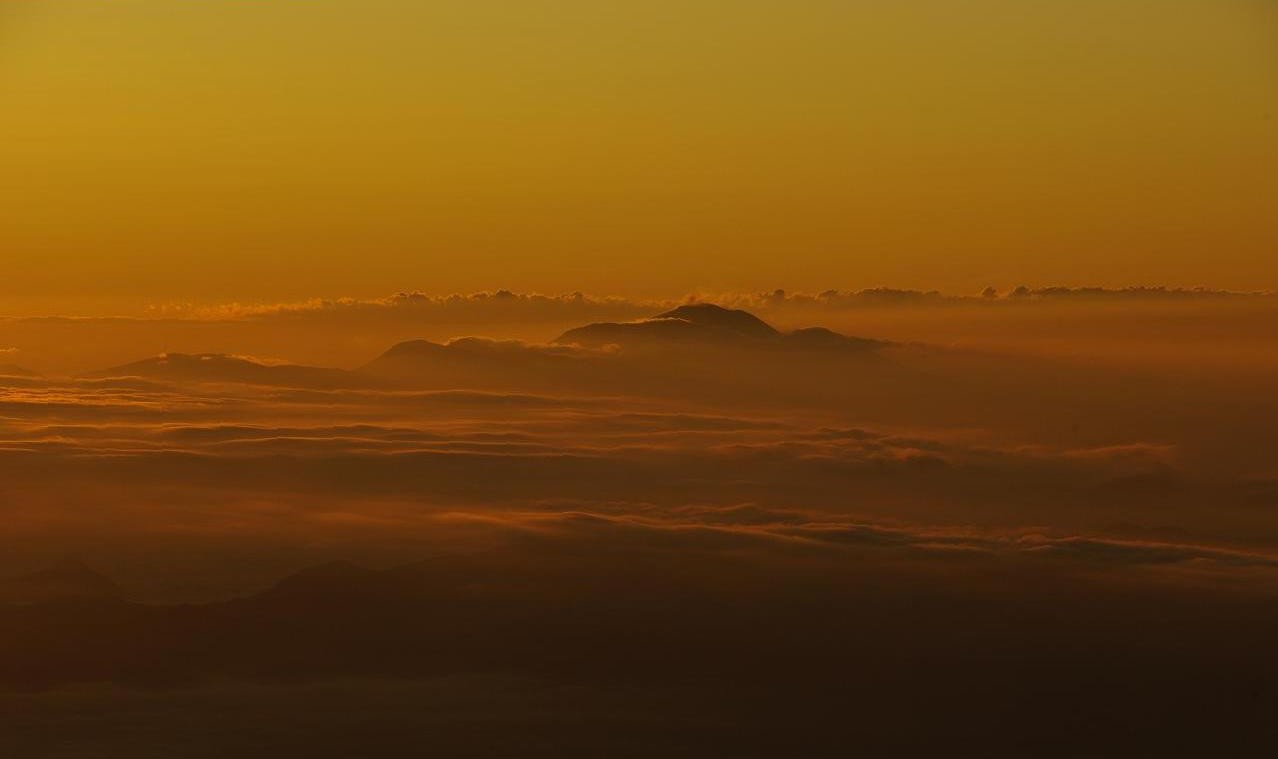 b0062024_73445.jpg