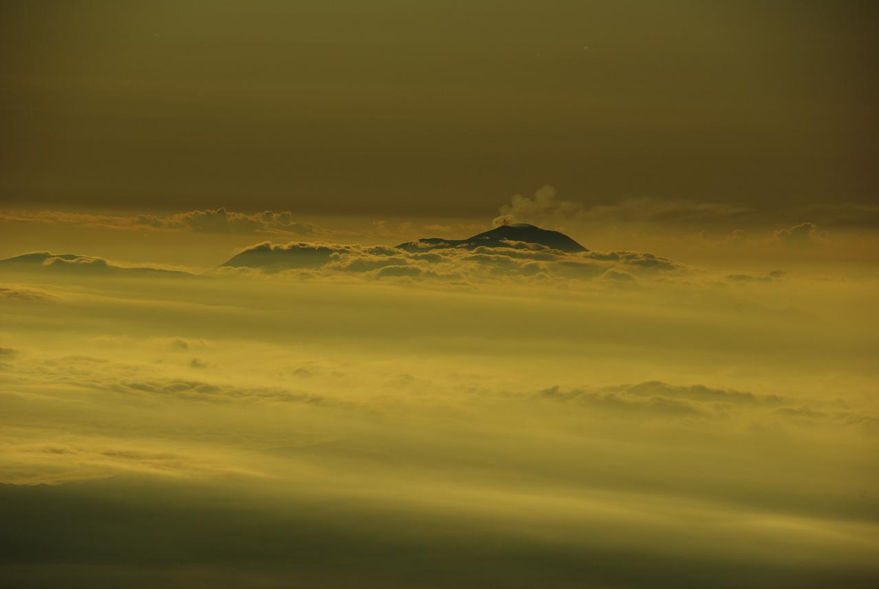 b0062024_739838.jpg