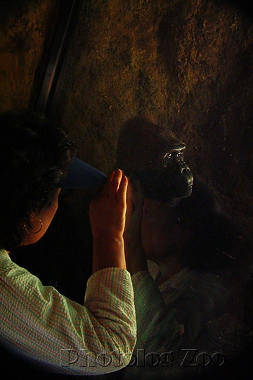 b0027825_22184286.jpg