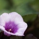 a0098027_15355036.jpg