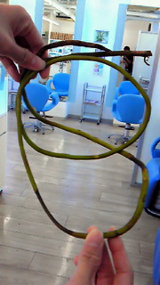 c0204228_18584290.jpg