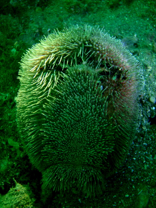 c0034029_23182054.jpg