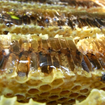 b0182030_21455857.jpg