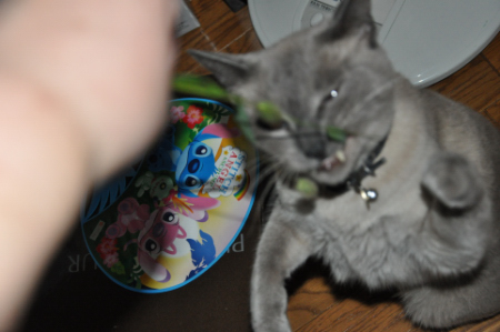 c0133533_017131.jpg
