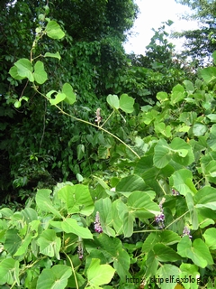 c0134734_23461586.jpg