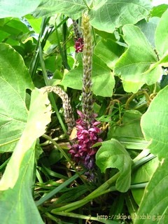 c0134734_23465088.jpg