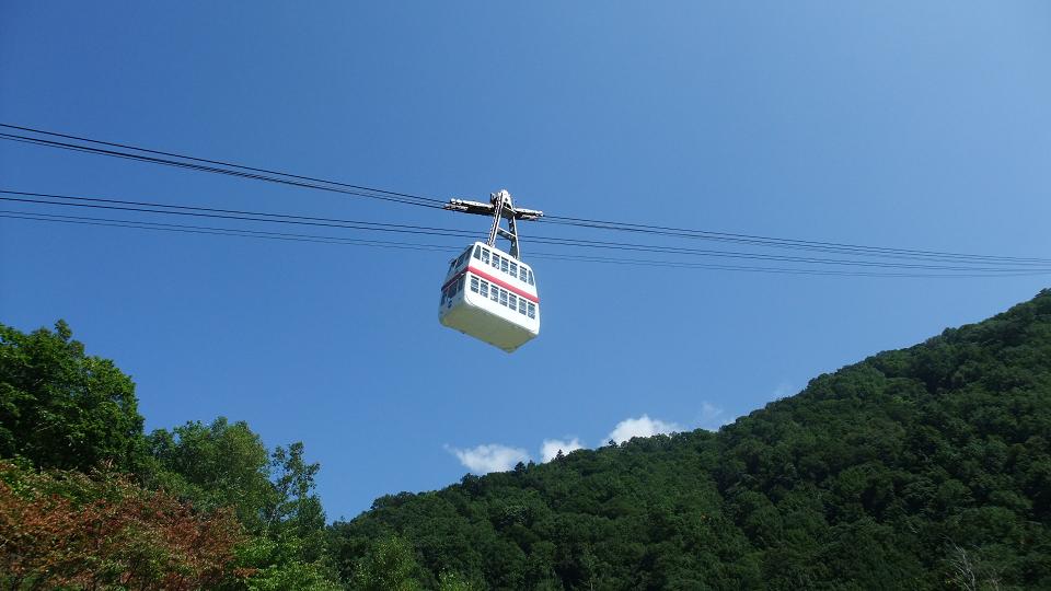 c0117936_21175373.jpg