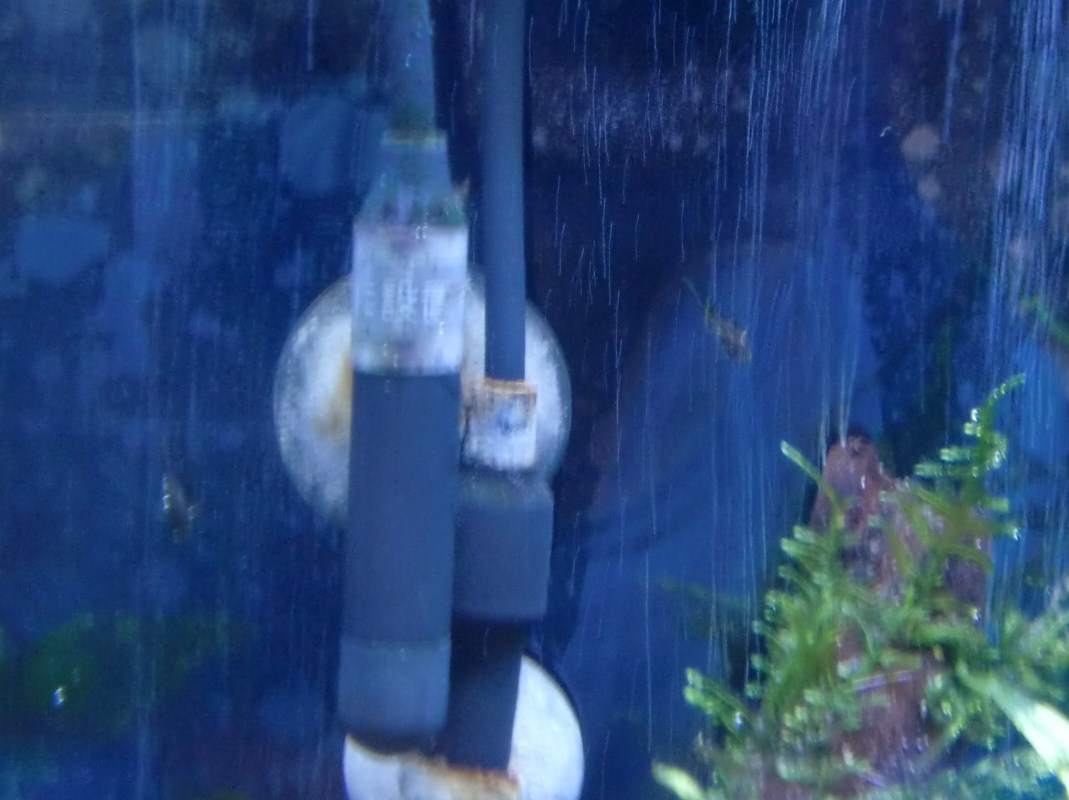 c0202937_16254214.jpg