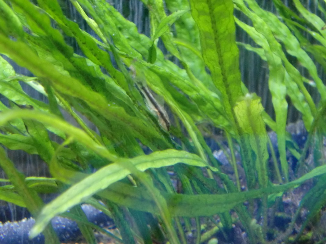 c0202937_1693562.jpg