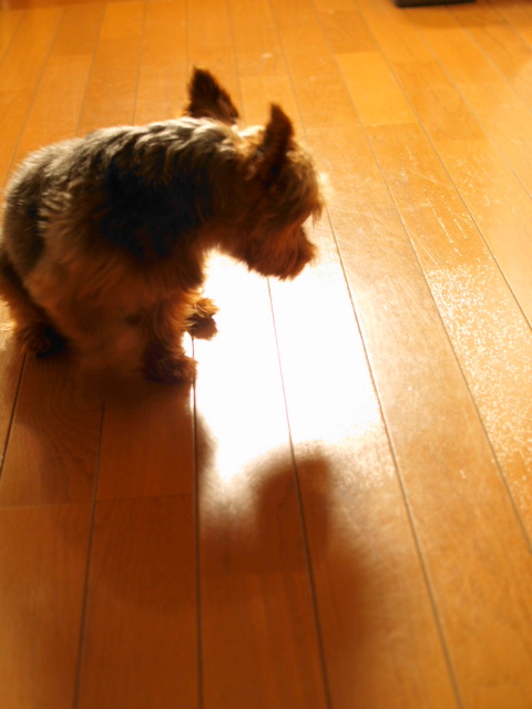 c0202938_11213218.jpg
