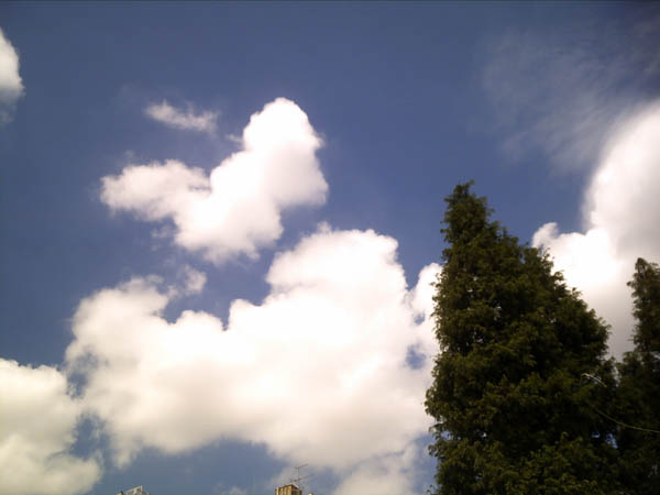 b0019140_16183852.jpg