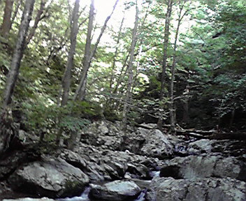 e0110940_612969.jpg