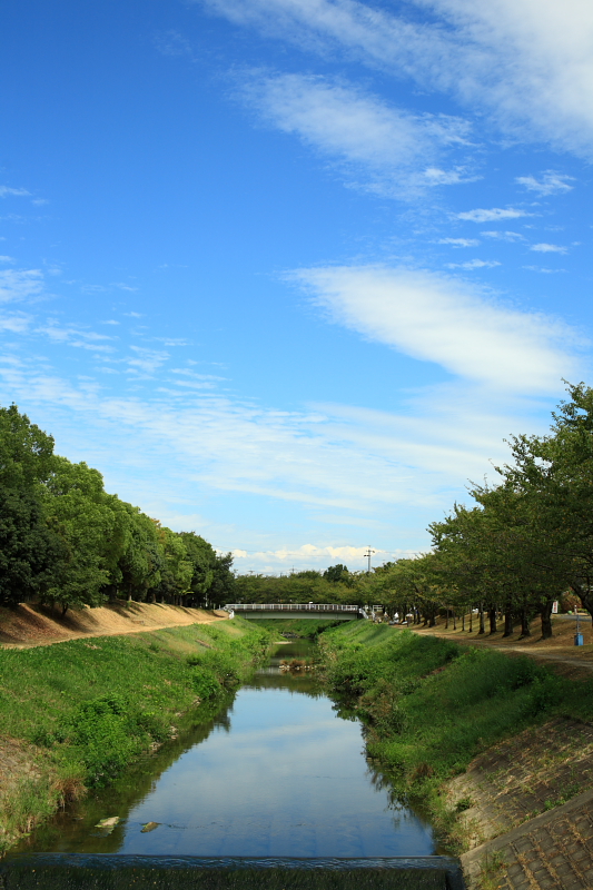 e0137244_17494651.jpg