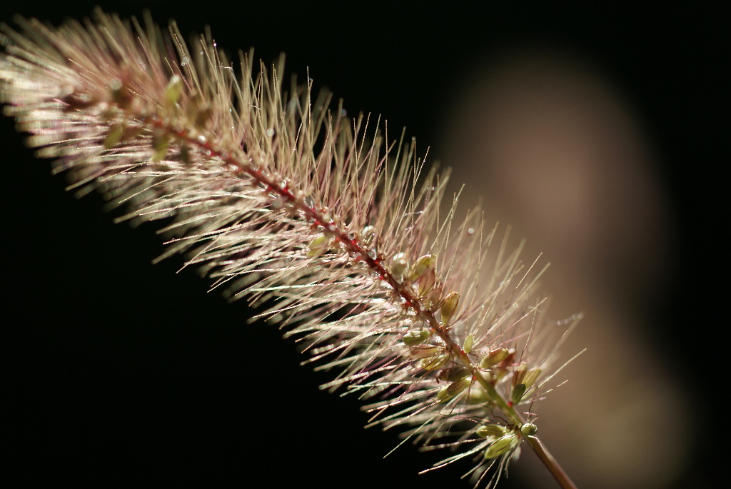 e0005253_23344827.jpg