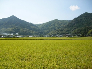 f0043559_21342475.jpg